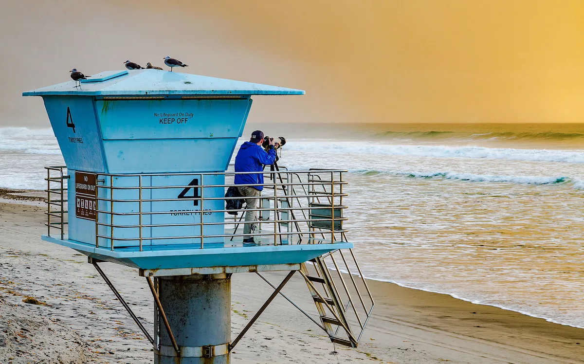 Plage de Torrey Pines State, San Diego, California Coast, États-Unis — 4