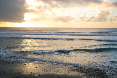 Plage de Torrey Pines State