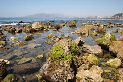 Baños del Carmen Beach, Málaga, Andalusia, Spain — 6