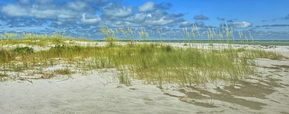 Plage Nord de Honeymoon Island, Dunedin, Florida, États-Unis — 3