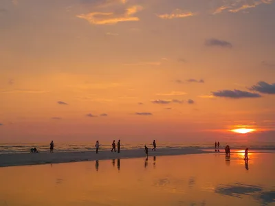 Plage Nord de Honeymoon Island