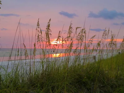 Plage Nord de Honeymoon Island, Dunedin, Florida, États-Unis — 2