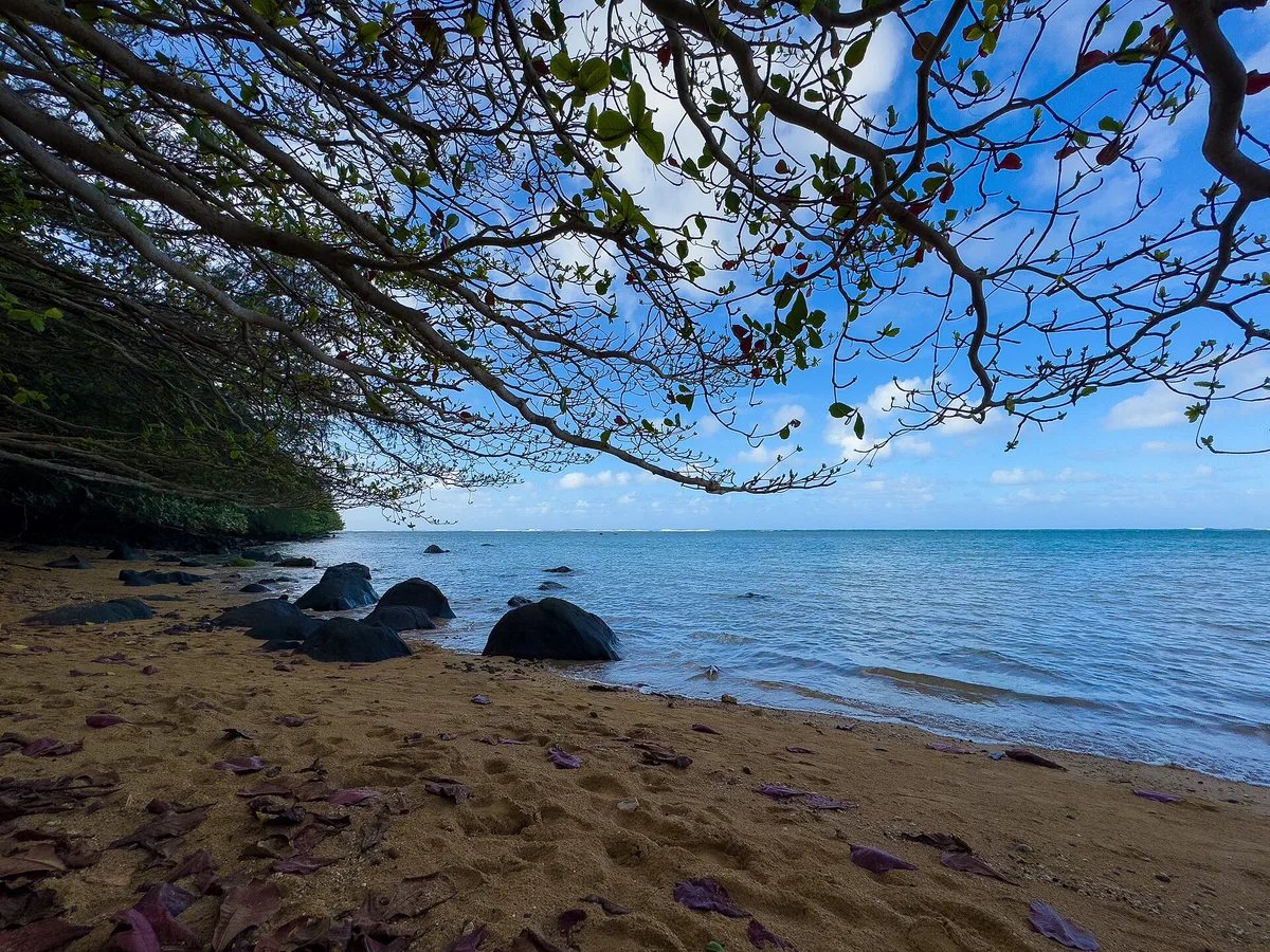 Plage d'Anini, Kilauea, Hawaii, États-Unis — 2