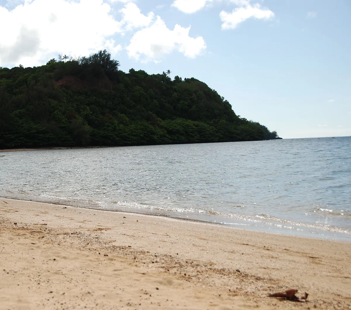 Plage d'Anini, Kilauea, Hawaii, États-Unis — 3