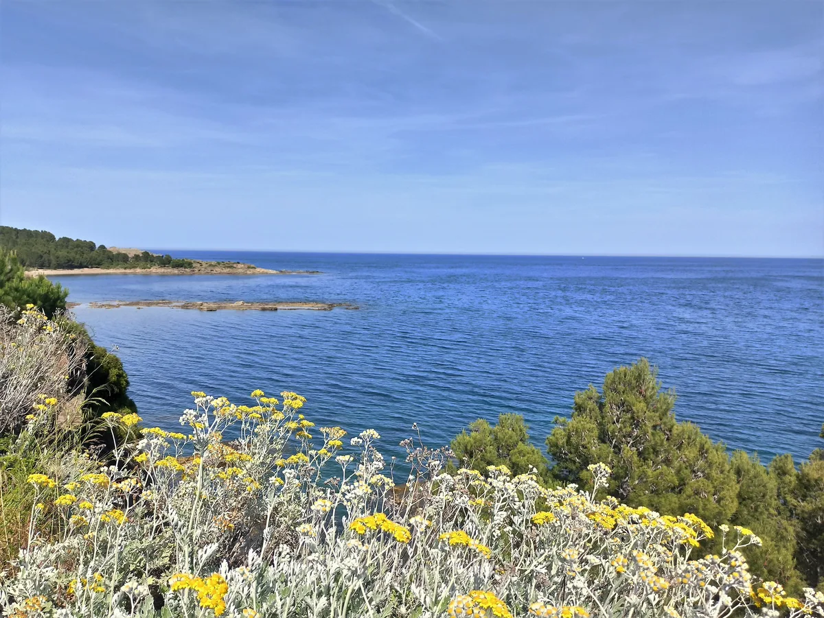 Grifeu Beach, Llançà, Spanish Mediterranean, Spain — 5