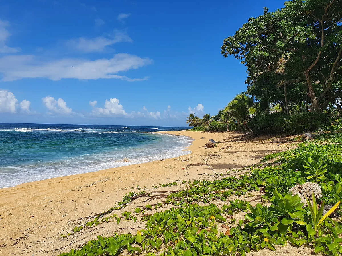 Tunnels Beach, Ha'ena, Hawaii, États-Unis — 6