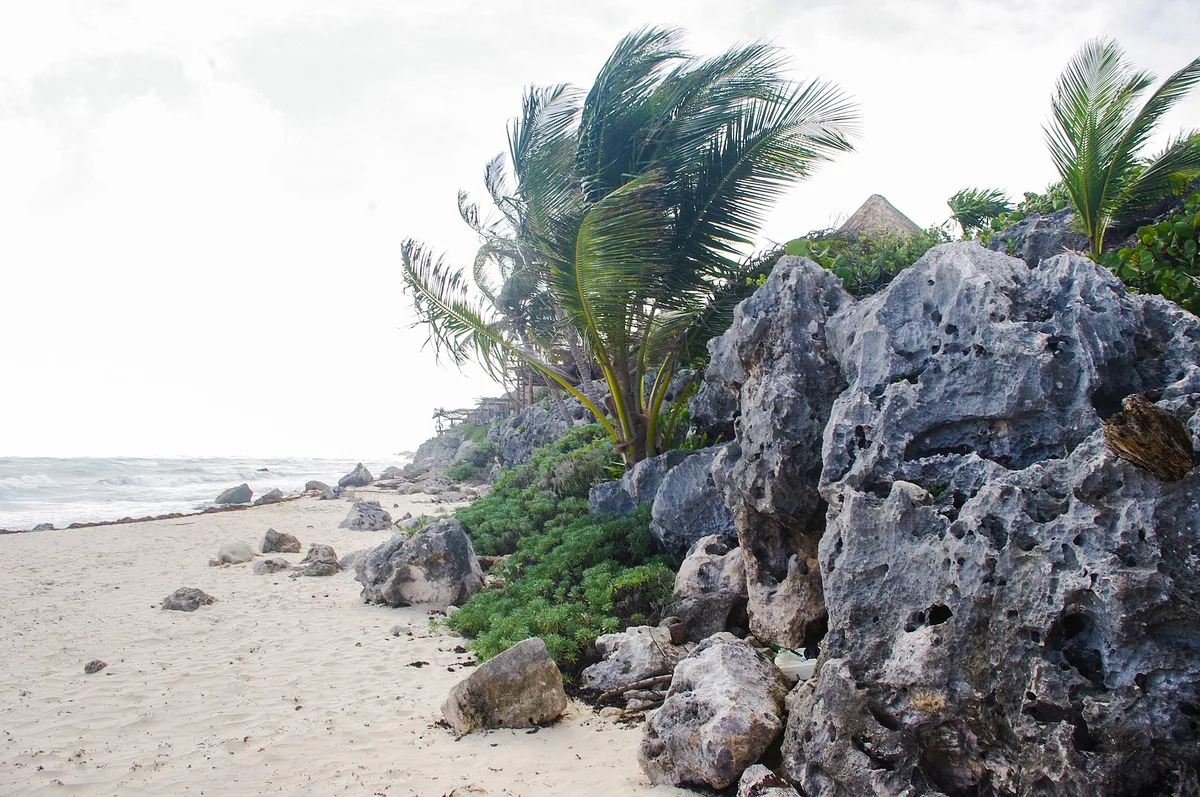 Playa Punta Piedra, Tulum, Yucatan Caribbean, México — 3