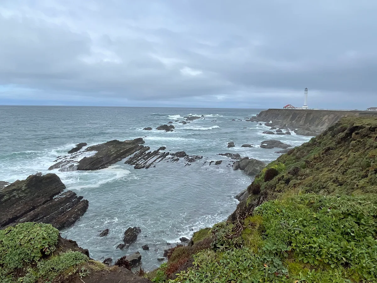 Spiaggia di Arena Cove, Point Arena, California Coast, Stati Uniti — 6