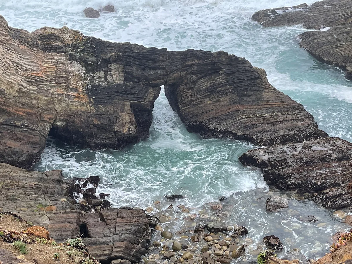 Spiaggia di Arena Cove, Point Arena, California Coast, Stati Uniti — 5