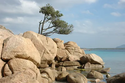 Plage de Piccolo Romazzino