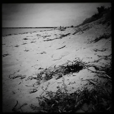 Jetties Beach