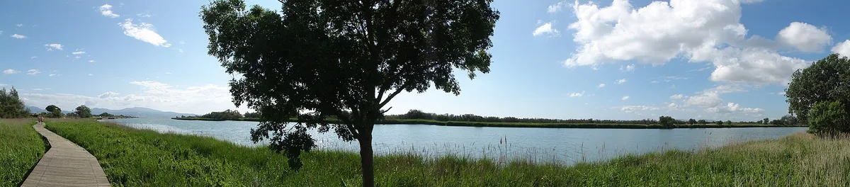 Playa de la Gola del Fluvià, Sant Pere Pescador, Catalonia, España — 4
