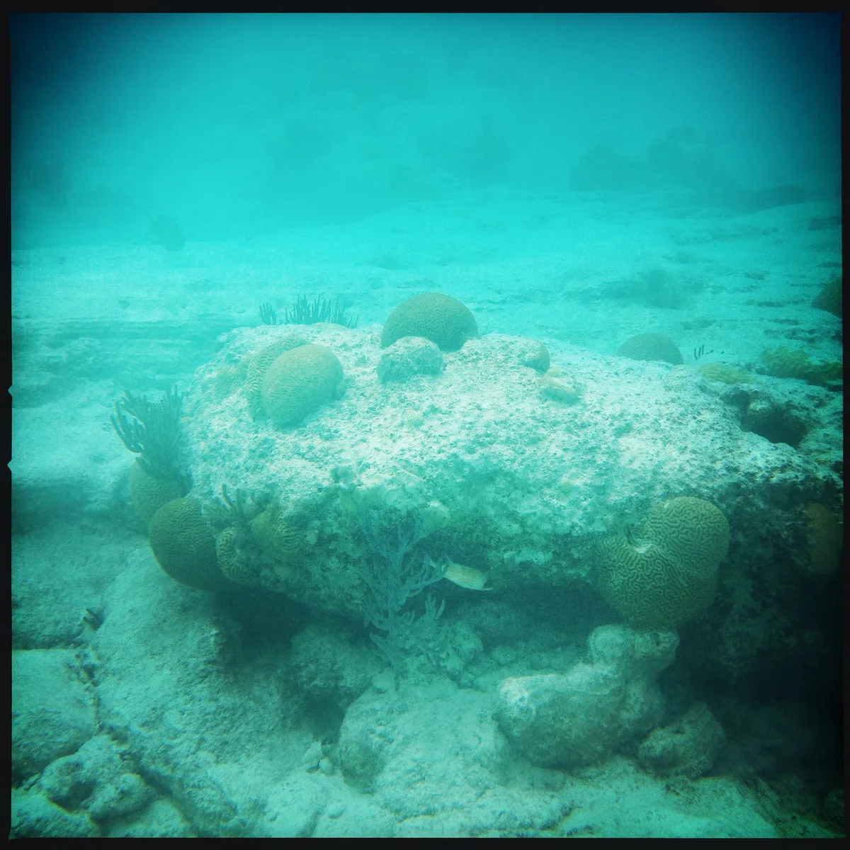 Church Bay, Southampton Parish, North Atlantic, Bermuda — 4