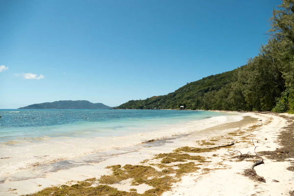 Plage de l'Anse La Blague, Baie Sainte Anne, Seychelles Inner Islands, Seychelles — 3