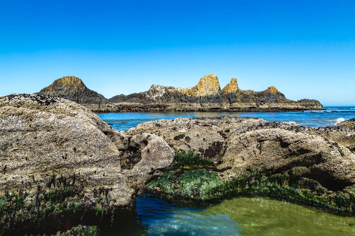 Seal Rock Beach, Seal Rock, Pacific Northwest, United States — 4
