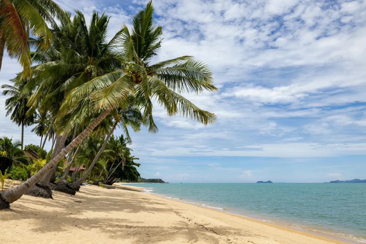 Coconut Beach, Eti-Osa, Gulf of Guinea, Nigeria