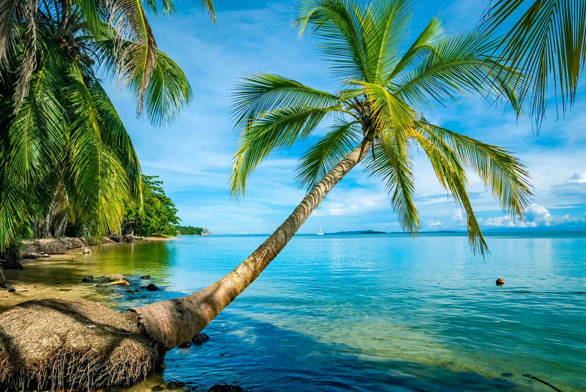 Coconut Beach, Eti-Osa, Gulf of Guinea, Nigeria — 2