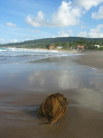 Coconut Beach, Eti-Osa, Gulf of Guinea, Nigeria — 5