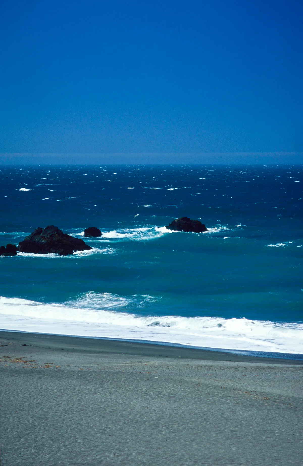 Praia de Schooner Gulch State, Point Arena, California Coast, Estados Unidos — 6