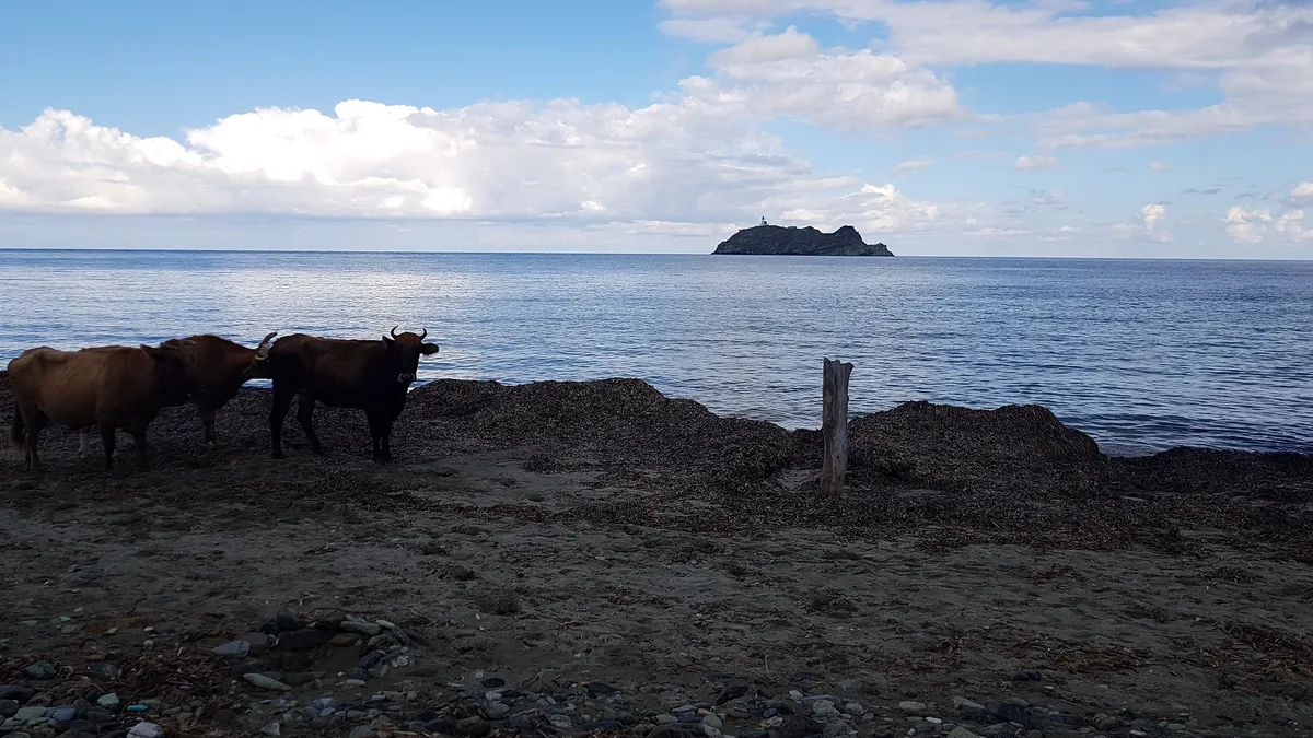 Barcaggio Beach, Rogliano, Corsica, France — 6