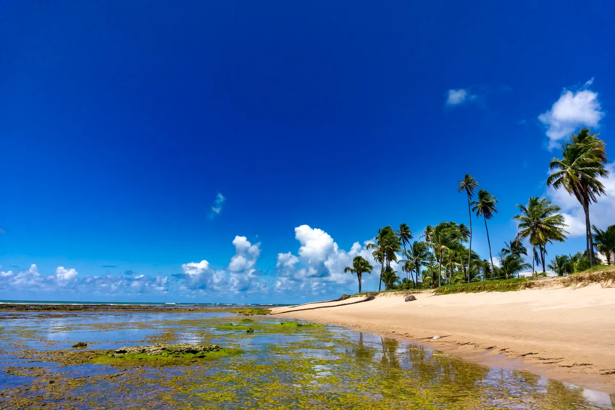 Plage de Guarajuba, Camaçari, Brazilian Atlantic, Brésil — 2