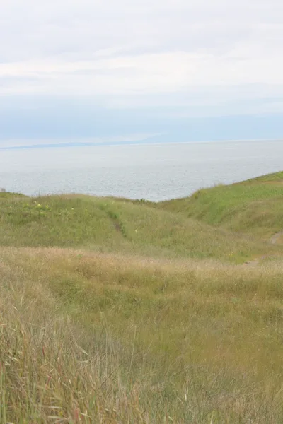 Cattle Point-Strand, Friday Harbor, US Pacific Northwest, Vereinigte Staaten — 4