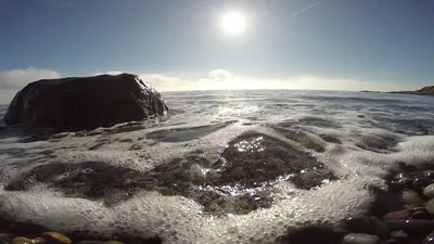 Cattle Point-Strand