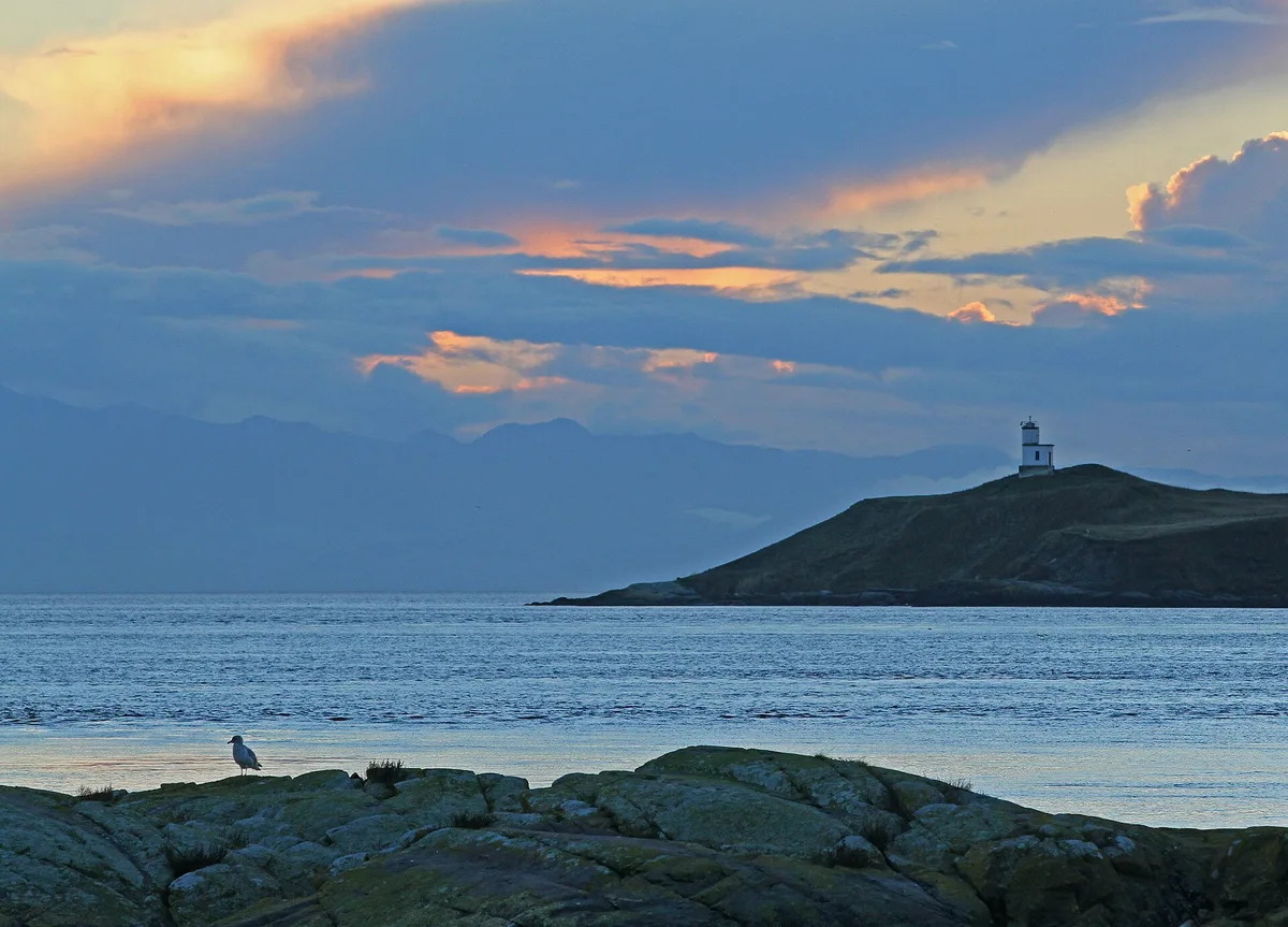 Cattle Point-Strand, Friday Harbor, US Pacific Northwest, Vereinigte Staaten — 3