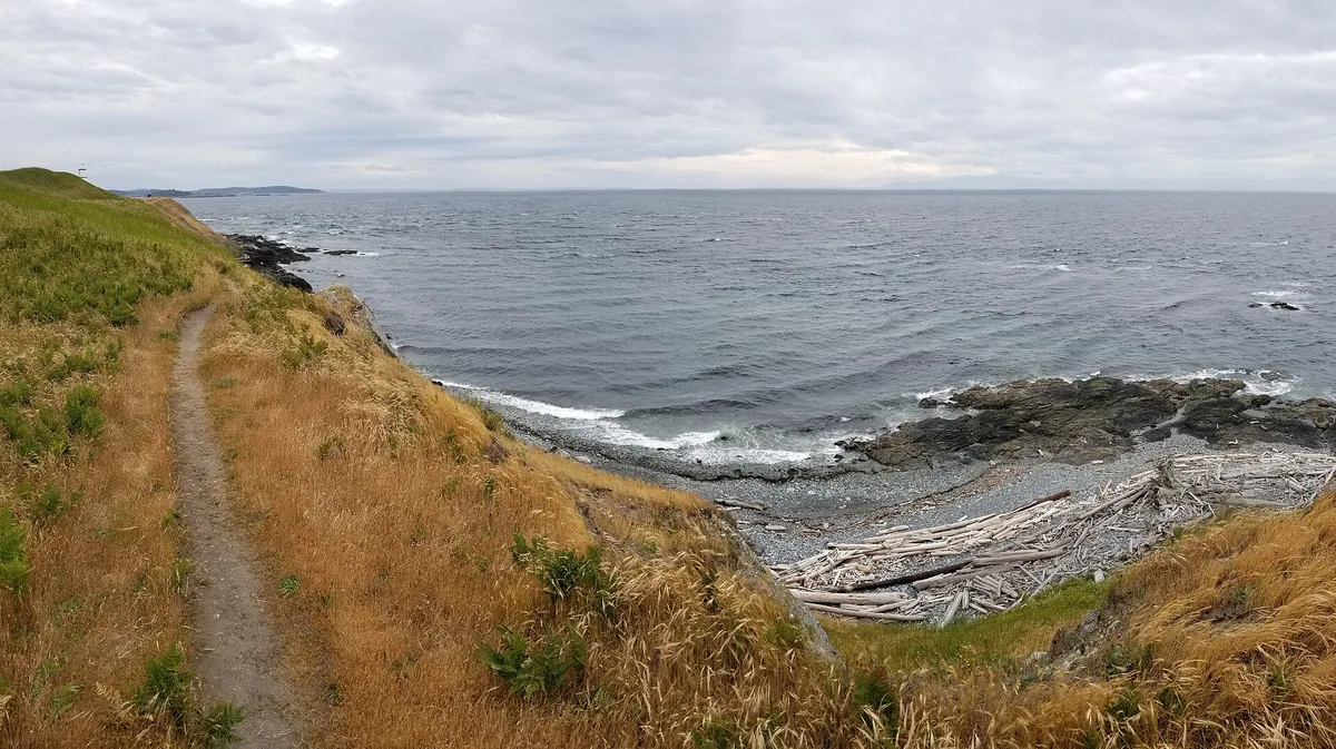 Cattle Point-Strand, Friday Harbor, US Pacific Northwest, Vereinigte Staaten — 2