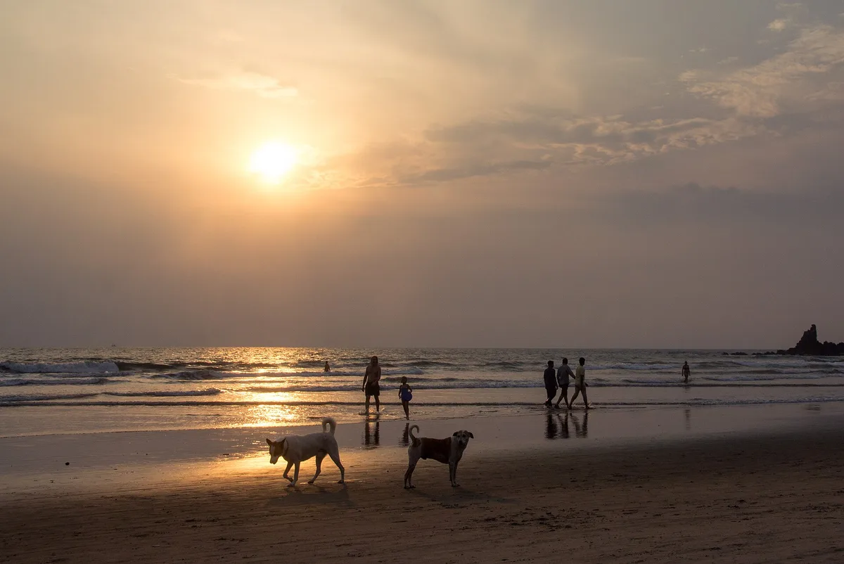 Praia de Arambol, Arambol, Indian West Coast, Índia — 3