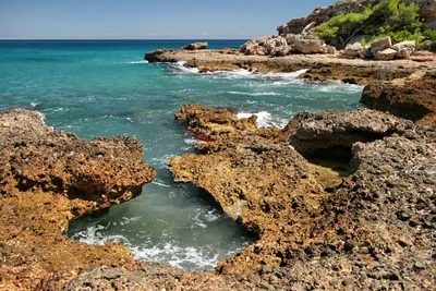 Cala Mosques