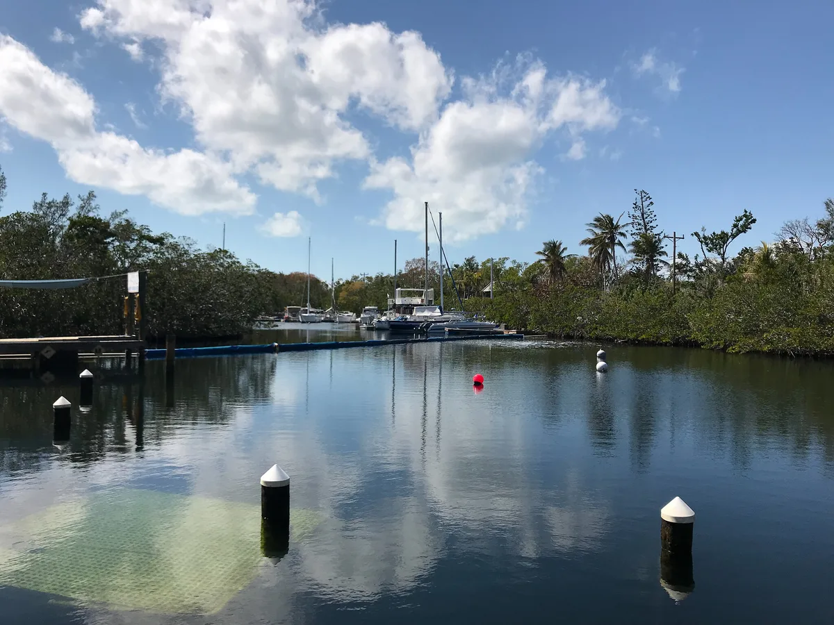 Adams Cut Waterway Beach, Key Largo, Florida Keys, United States — 3