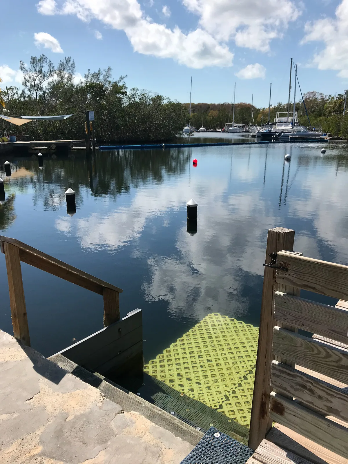 Adams Cut Waterway Beach, Key Largo, Florida Keys, United States — 4