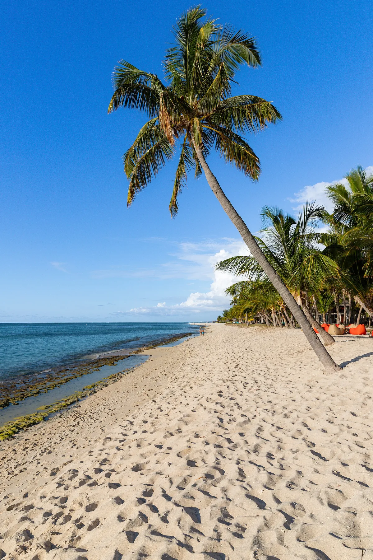 Plage de Baie du Cap, Savanne, Mascarene Islands, Maurice — 3