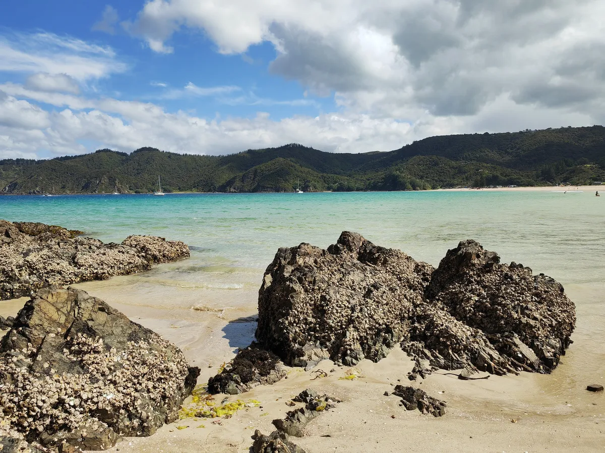 Matauri Bay-Strand, Matauri Bay, Northland, Neuseeland — 4