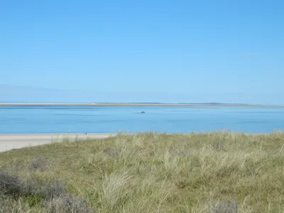 Strand De Cocksdorp