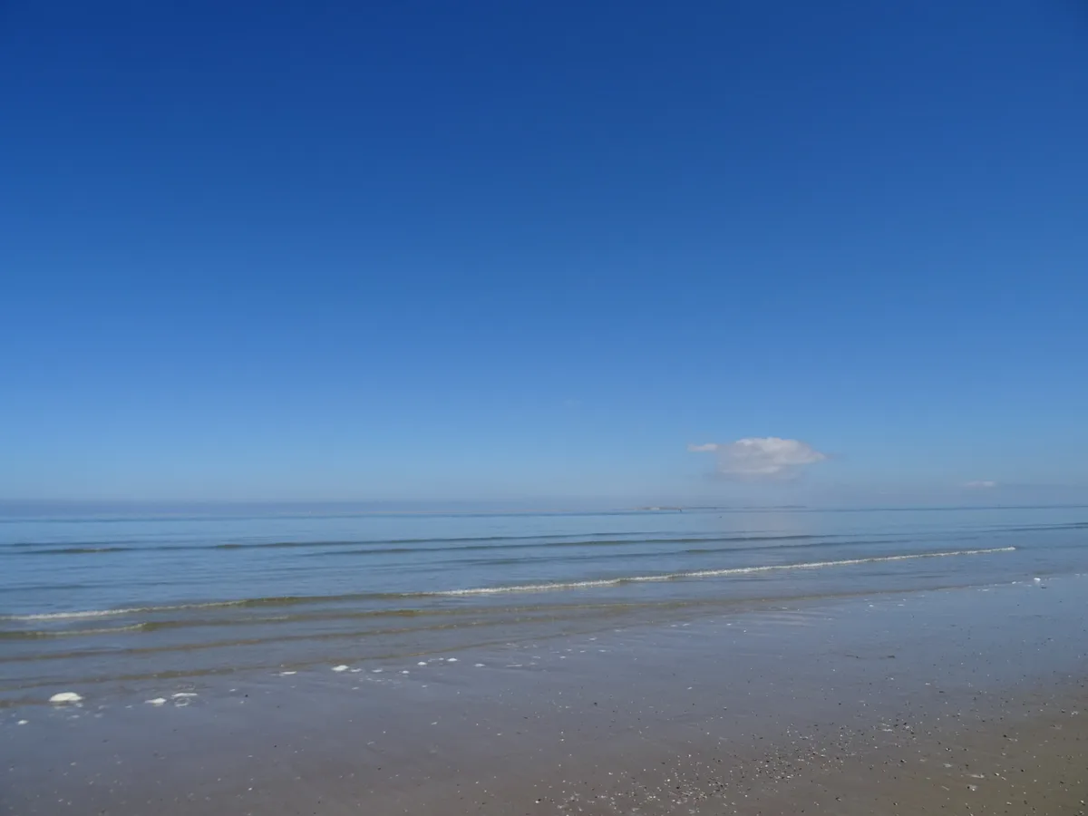 Strand De Cocksdorp, Texel, North Holland, Nederland — 3