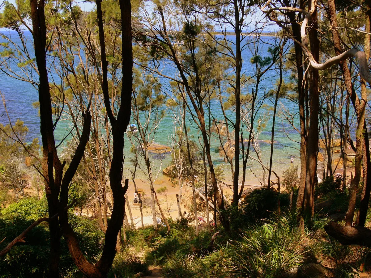 Resolute Beach, Northern Beaches Council, New South Wales, Australie — 4