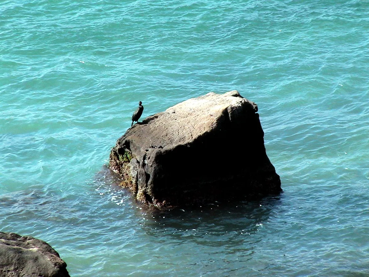 Plage de Ferragut, Es Mercadal, Balearic Islands, Espagne — 4
