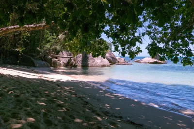 Plage de l'Anse Bois de Rose