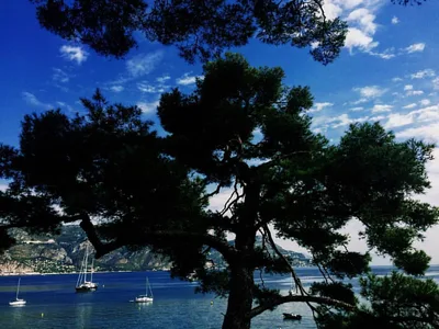 Fossettes Beach, Saint-Jean-Cap-Ferrat, Provence-Alpes-Côte d'Azur, France — 4