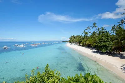 Alona Beach
