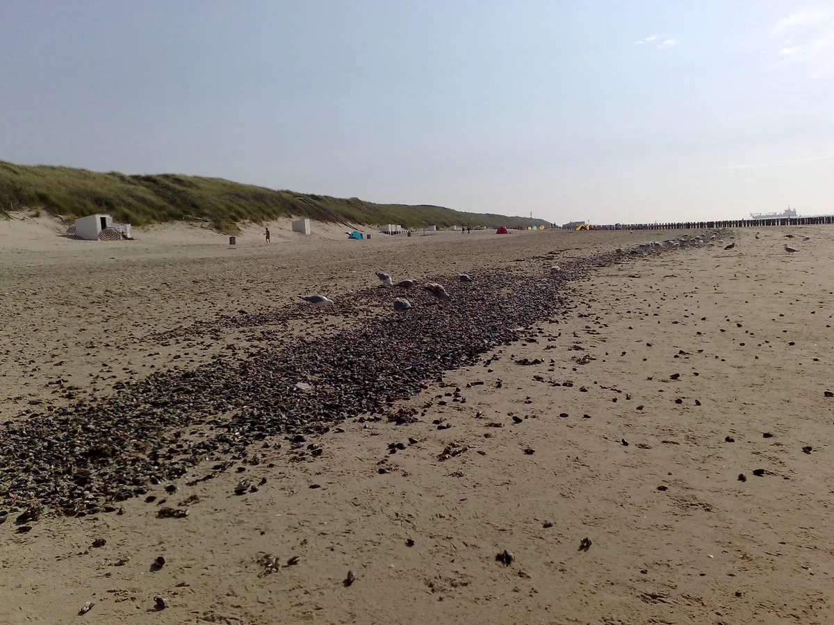 Strand Domburg, Veere, Zeeland, Nederland — 5