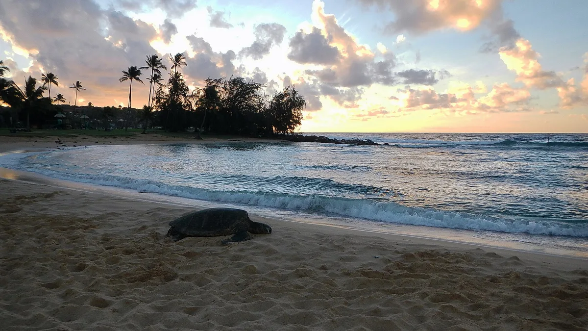 Po'ipū Beach Park, Koloa, Hawaii, États-Unis — 3