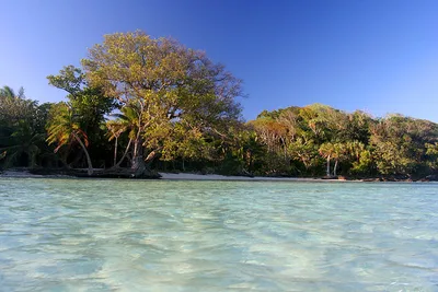 Île aux Nattes-Strand, Agniribe, Analanjirofo, Madagaskar — 3