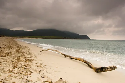 Plage de Capo di Feno