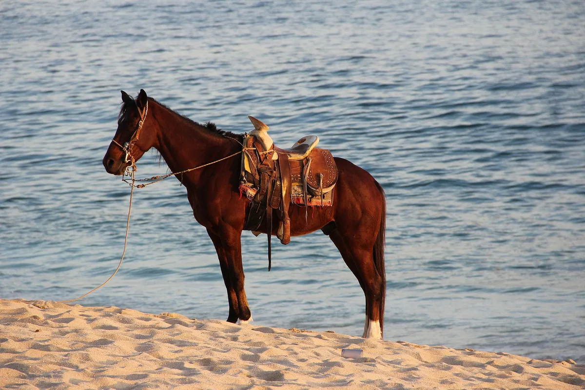 Playa El Médano, Los Cabos, Baja California Sur, México — 5
