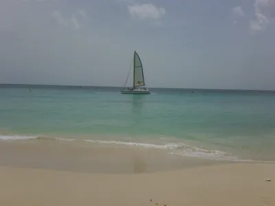 Sandy Lane Beach