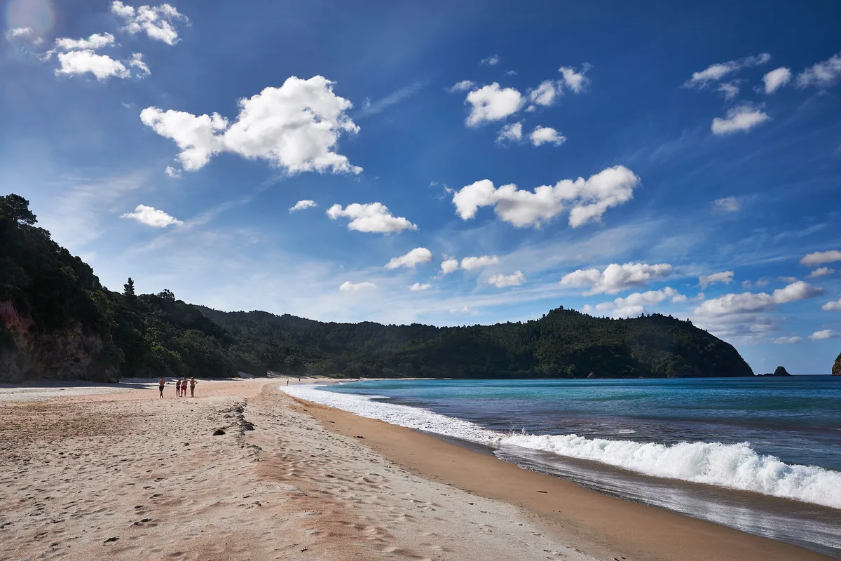 Whangapoua-Strand, Thames-Coromandel District, Waikato, Neuseeland — 2