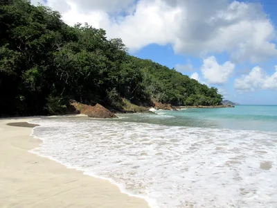 Magens Bay Beach, St. Thomas, Virgin Islands, United States Virgin Islands — 2